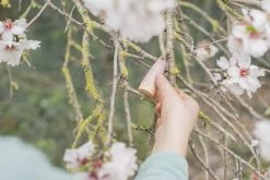 Grapat Sticks Houten Kabouters 18-delig 18-178 -Speelgoed Kortingswinkel image 1082