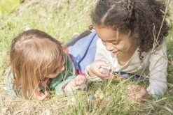 Grapat Baby Nins Houten Speelset 6-delig 18-180 14 Grapat Baby Nins Houten Speelset 6-delig 18-180 -Speelgoed Kortingswinkel image 1126