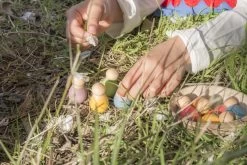 Grapat Baby Nins Houten Speelset 6-delig 18-180 15 Grapat Baby Nins Houten Speelset 6-delig 18-180 -Speelgoed Kortingswinkel image 1127