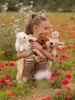 WWF Knuffel Bernard Bear Brown 29 Cm -Speelgoed Kortingswinkel image 1431