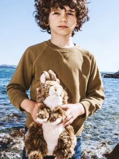 WWF Haas Brown 30cm 9 WWF Haas Brown 30cm -Speelgoed Kortingswinkel image 1533