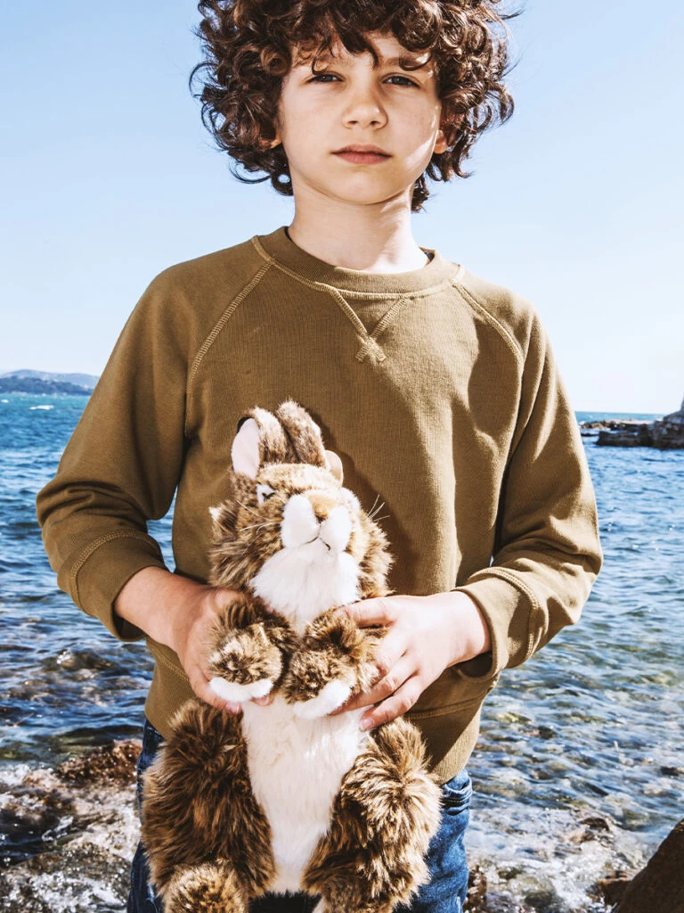 WWF Haas Brown 30cm 6 WWF Haas Brown 30cm - Afbeelding 4