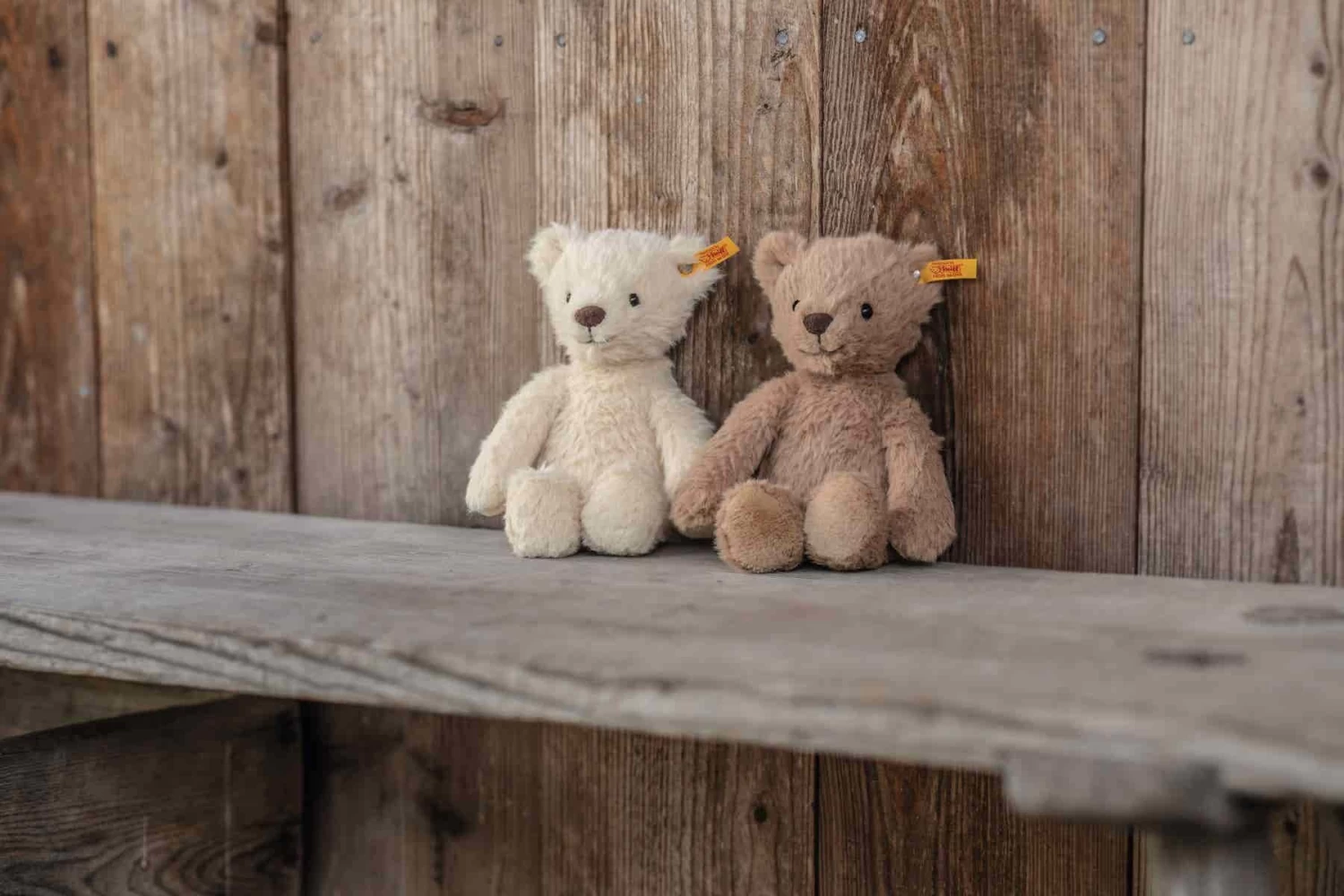 Steiff Knuffel Teddybeer Thommy Teddy Bear 20cm 4 Steiff Knuffel Teddybeer Thommy Teddy Bear 20cm - Afbeelding 2