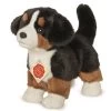 Hermann Teddy Knuffel Berner Sennenhond Puppy -Speelgoed Kortingswinkel image 1946