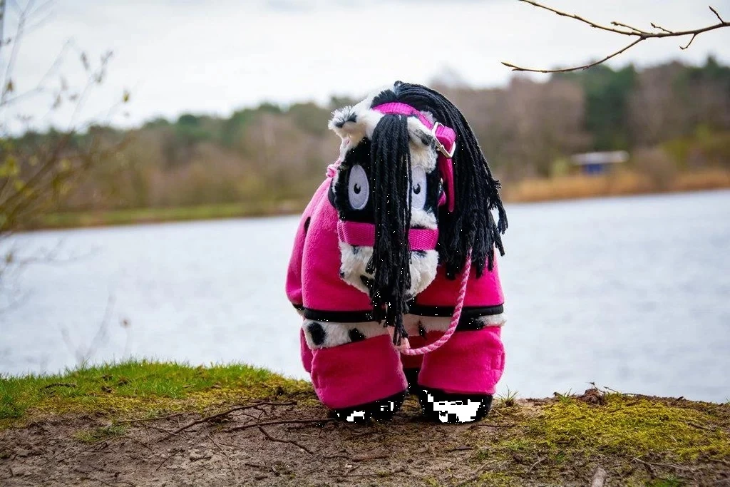 Crafty Ponies Fleecedeken Roze Set 4-delig 7 Crafty Ponies Fleecedeken Roze Set 4-delig - Afbeelding 5