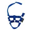 Crafty Ponies Halster Blauw 1 Crafty Ponies Halster Blauw -Speelgoed Kortingswinkel image 2000