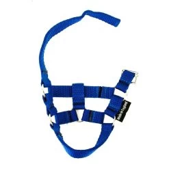 Crafty Ponies Halster Blauw