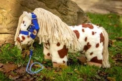 Crafty Ponies Halster Blauw -Speelgoed Kortingswinkel image 2002