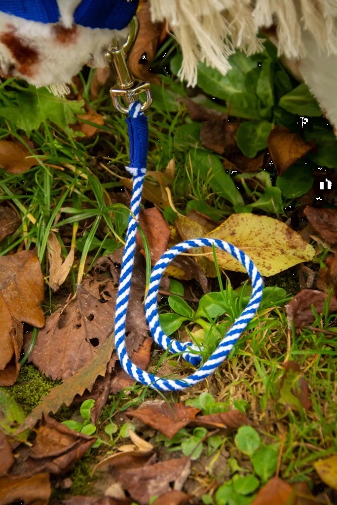 Crafty Ponies Halstertouw Blauw 9 Crafty Ponies Halstertouw Blauw - Afbeelding 7