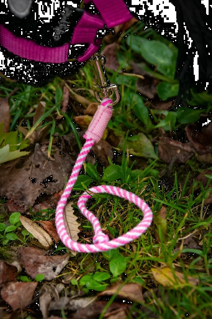 Crafty Ponies Halstertouw Roze 7 Crafty Ponies Halstertouw Roze - Afbeelding 5