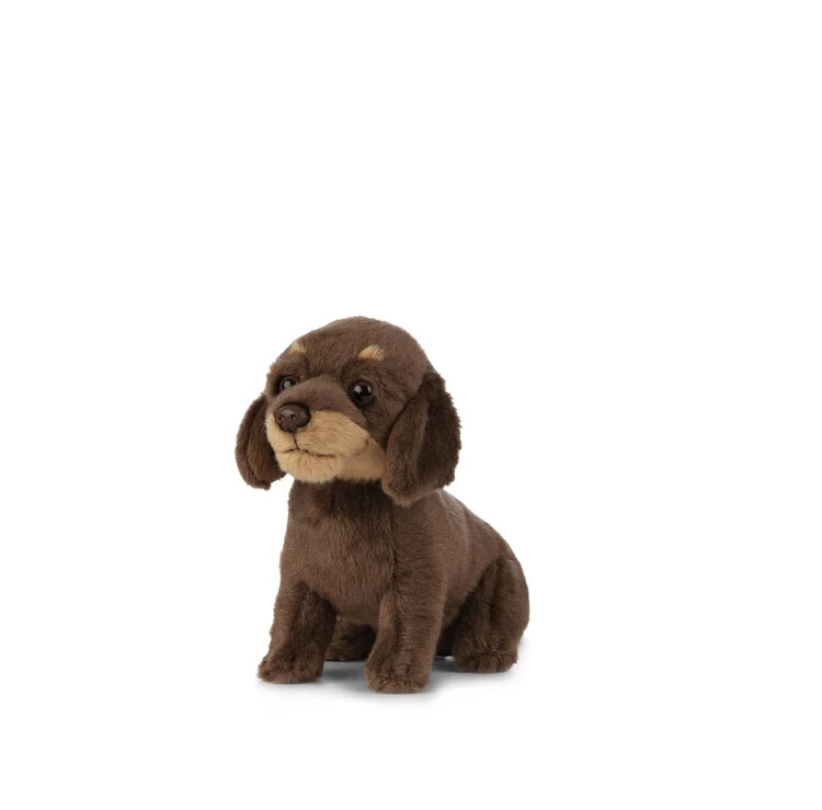 Living Nature Knuffel Hond Teckel Puppy 4 Living Nature Knuffel Hond Teckel Puppy - Afbeelding 2