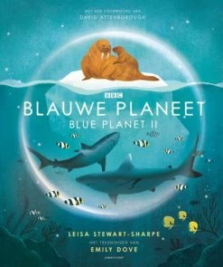 Lemniscaat Blauwe Planeet Blue Planet II