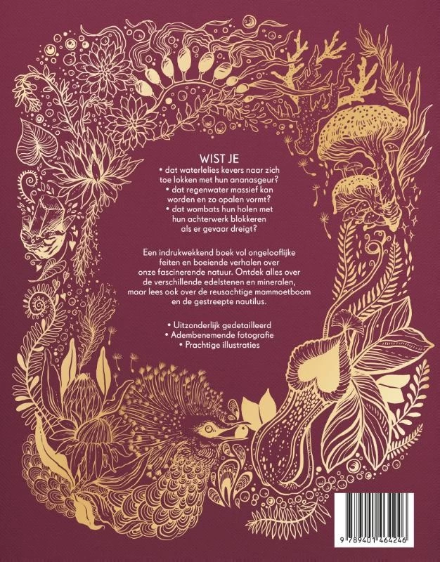 Terra Lannoo Het Dikke Boek Van Onze Bijzondere Natuur 4 Terra Lannoo Het Dikke Boek Van Onze Bijzondere Natuur - Afbeelding 2