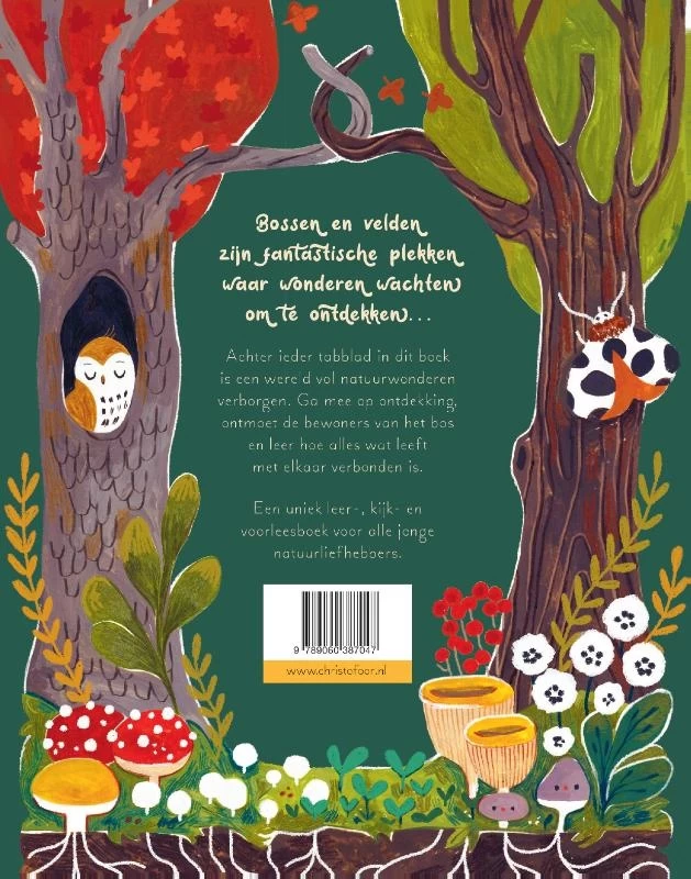 Christofoor Een Woud Vol Wonderen 4 Christofoor Een Woud Vol Wonderen - Afbeelding 2