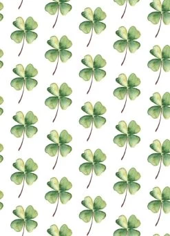 Fritsy Postkaart Klavertje Vier