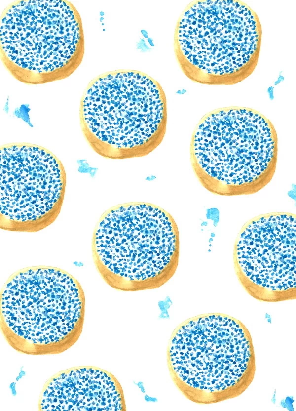 Fritsy Postkaart Beschuit Met Muisjes Blauw 3 Fritsy Postkaart Beschuit Met Muisjes Blauw