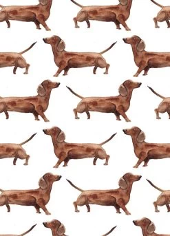 Fritsy Postkaart Teckels