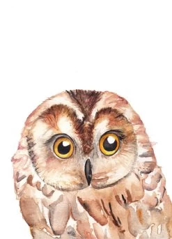 Fritsy Postkaart Uil