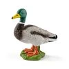 Schleich Eend 13824 -Speelgoed Kortingswinkel image 3448